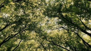 【2026年度税制改正】設備投資促進減税案を徹底解説|7%税額控除・即時償却・対象要件・必要な手続きまで