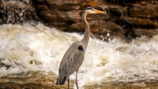 初めての補助金申請:何から始めればいい?最低限知っておきたい基本の流れ